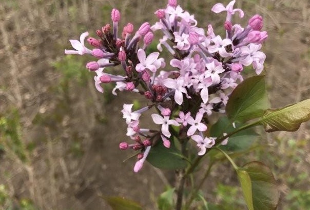 1629875422719897.jpg @D~IVG1QVDBGXQ7J5JUWTJH.jpg