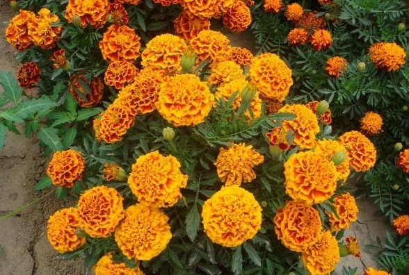 1629879658271022.jpg J[)``{)`IOPN6AUNNNTUCU6.jpg