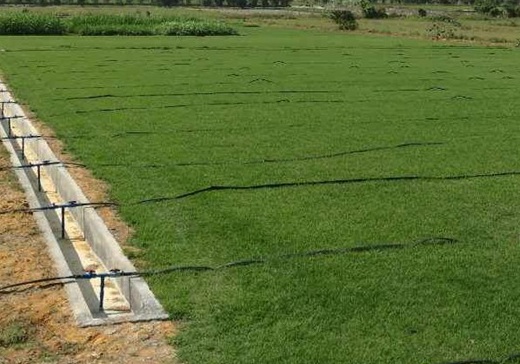 1629880617475429.jpg image.jpg