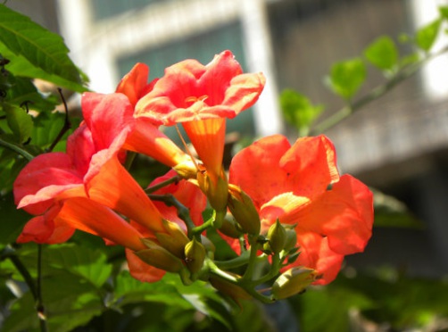 1629881617906995.jpg image.jpg