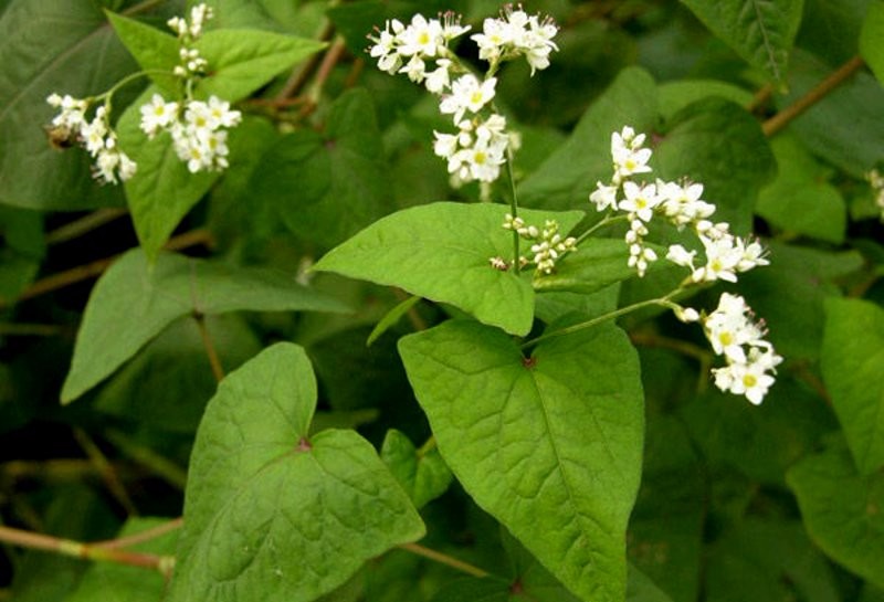 1629890290470722.jpg 1629890290470722.jpg