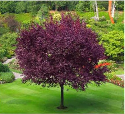 1629894580225756.jpg 1629894580225756.jpg