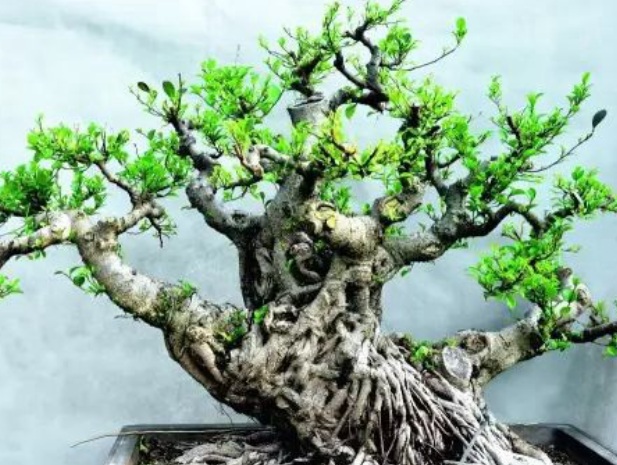 1629948719242982.jpg %WA6}GYA}2F5G[J71{K3@}F.jpg