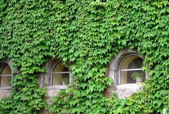 1629948852786074.jpg {XO92LRUGFKN(XR)DLT[3L9.jpg