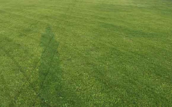 1630053217400202.jpg 3d7d80ee931c748918581fe12f4b9975_1627018920204710.jpg