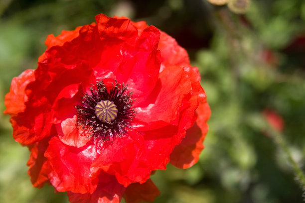 1630061662629900.jpg 99740bb3b8f278db878caa012d59f30e_t01ded5e5aea4790cb6.jpg