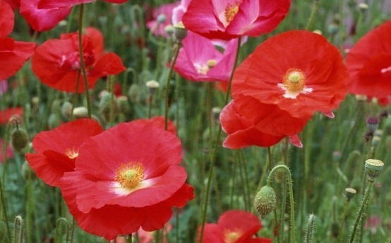 1630067333952747.jpg TKKQ3AAPU6M1U{WSG2A[J1B.jpg