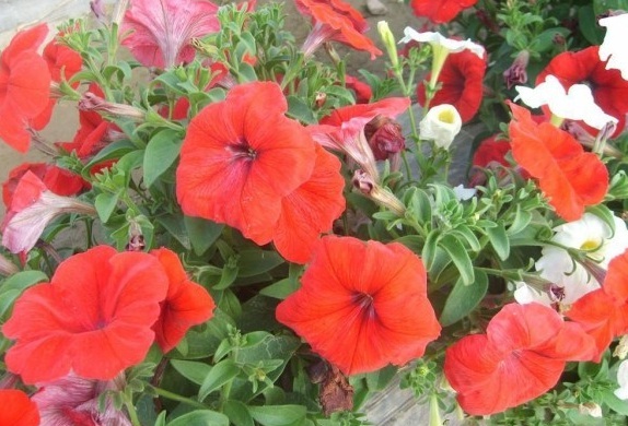 1630067863995560.jpg DQN4`YKWZ7FK5)74RN8EW(I.jpg