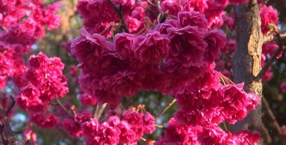 1630068148277297.jpg )FQ$ZE1@[N1R[1}H96D21XQ.jpg