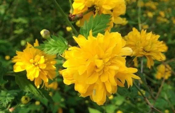 1630069218572831.jpg }N5L4(SMTIS69(_}MOGAVC7.jpg