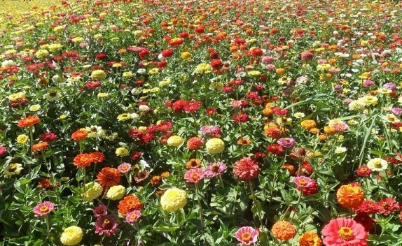 1630069402516421.jpg H@G~53}4H@0%@)`AIK$E([O.jpg