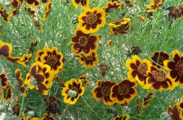 1630070774922515.jpg ZSV[%FB}FLAL$7KOU_$@ZHV.jpg