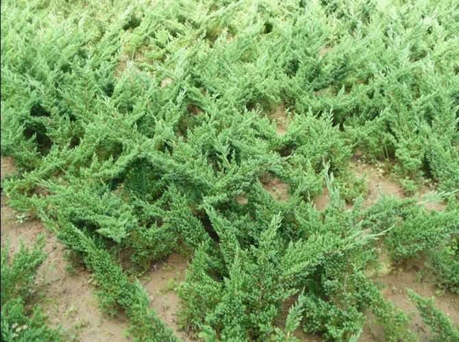 1630071103880509.jpg 1630071103880509.jpg