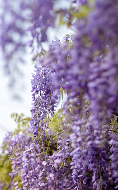 1630075967994002.jpg 1630075967994002.jpg