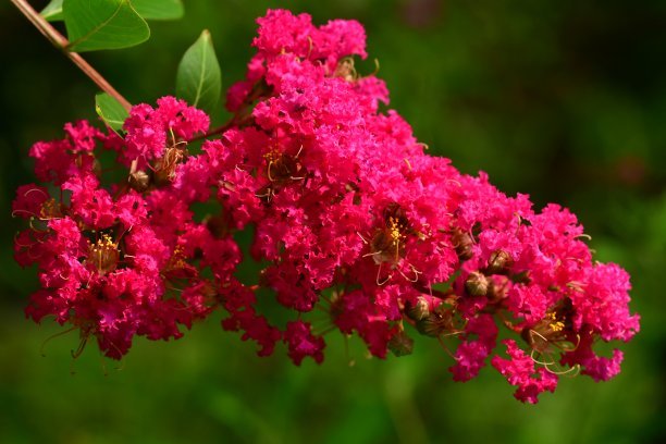 1630076165940689.jpg 1630076165940689.jpg