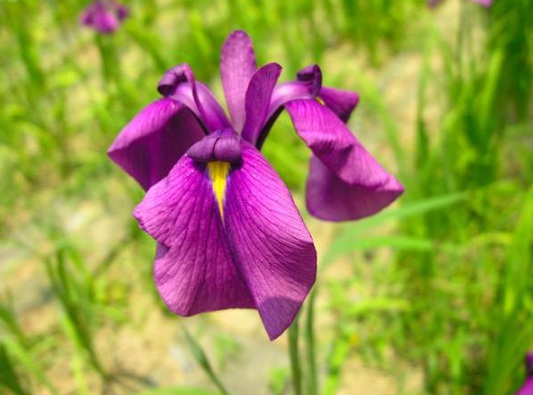 1630116207435900.jpg image.jpg