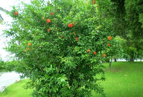 1630122497214740.jpg image.jpg