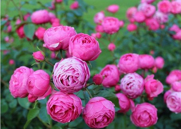 1630123972139947.jpg image.jpg