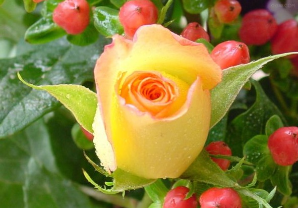 1630124043493698.jpg image.jpg