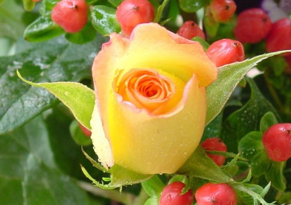 1630124328886091.jpg image.jpg