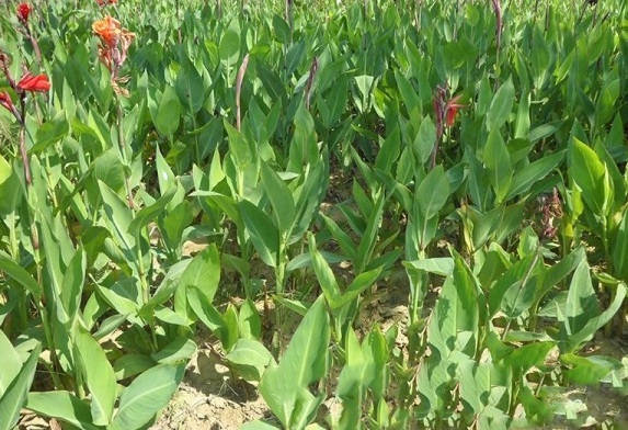 1630134661918790.jpg P03{F$K_U(EAJ3P`ISZ@)~T.jpg