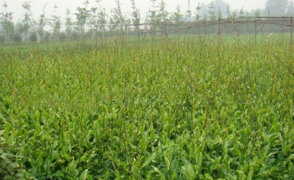 1630134670189669.jpg VFCK%`T_BXUDNR_}1`N)}WQ.jpg