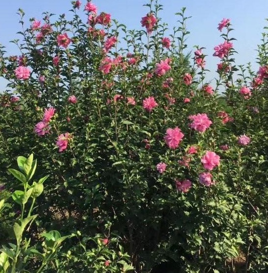 1630134747360782.jpg T4MXR526AP@6W0KF5KY@(RT.jpg