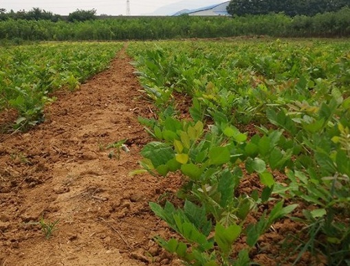 1630166146943885.jpg image.jpg