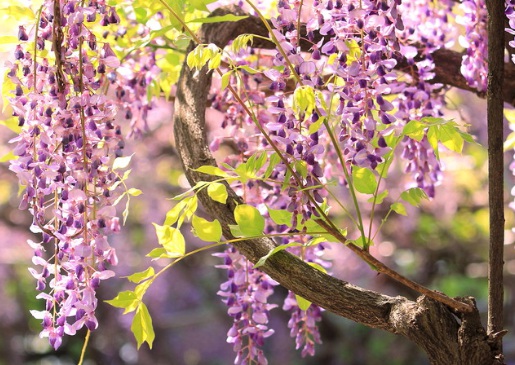 1630166193675228.jpg image.jpg