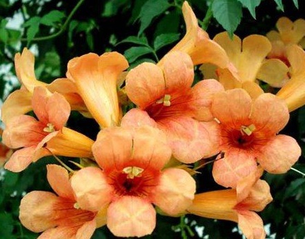 1630167037424141.jpg image.jpg