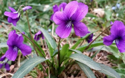 1630232620232692.jpg ~JX00OT7MXSR$`%}N}Z7FM6.jpg