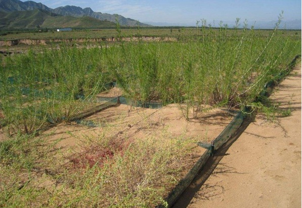 1630236289855994.jpg image.jpg