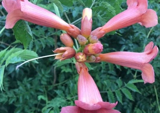 1630237742700266.jpg {3XJJ2H2B5~A%QT6)F8$_C9.jpg