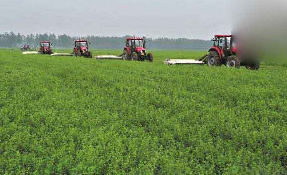 1630237945483704.jpg image.jpg