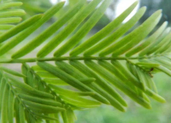 1630238320871812.jpg image.jpg