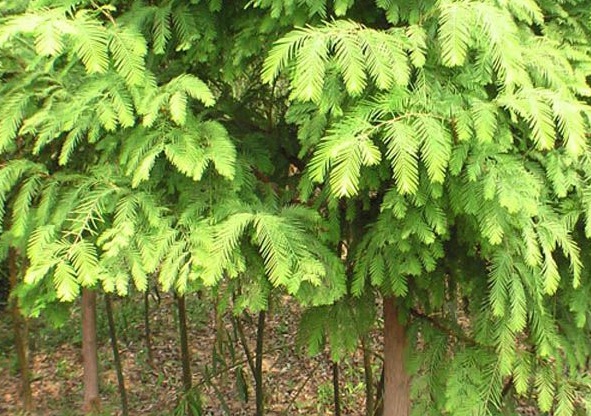 1630238328963593.jpg image.jpg