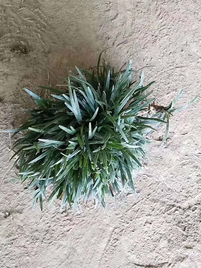 ??¥??????éo|??????é??è??