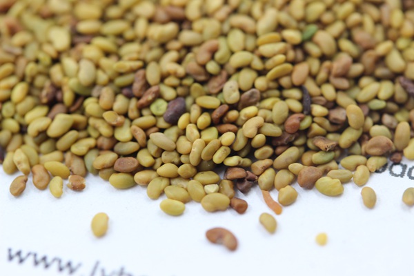 ?′?è?±è??è???§??-?