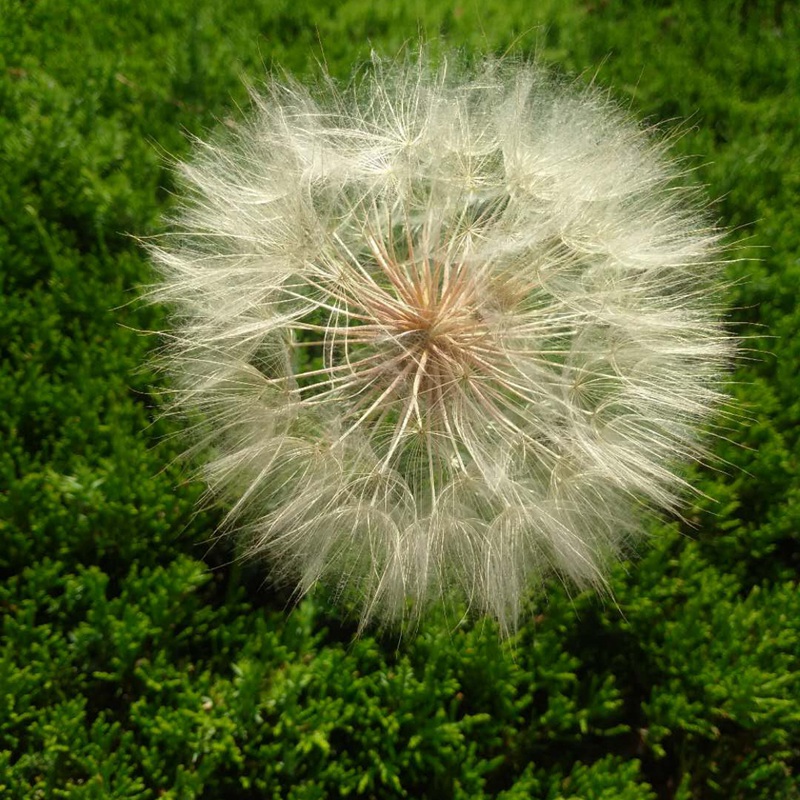 è?2???è?±?o??¤§?????????????¤§?|?????? ??¥é?????