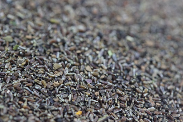 é??è??è?±?§??-?