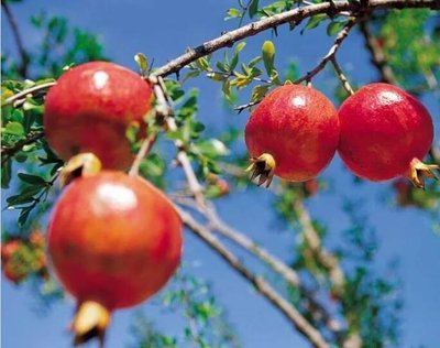 1630382693831902.jpg 1630382693831902.jpg