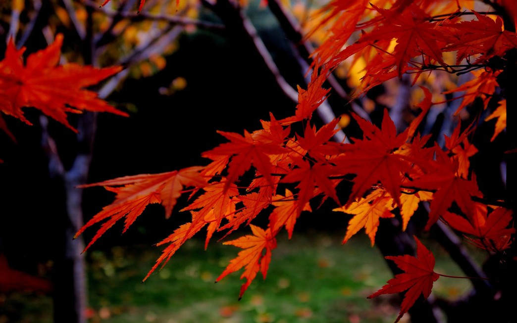 1630392226128931.jpg 1630392226128931.jpg