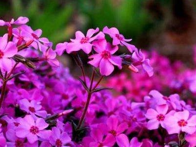 1592806566434794.jpg 2.jpg