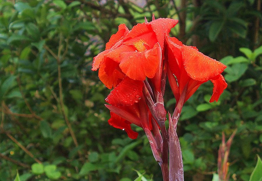 1630393718504241.jpg 1630393718504241.jpg