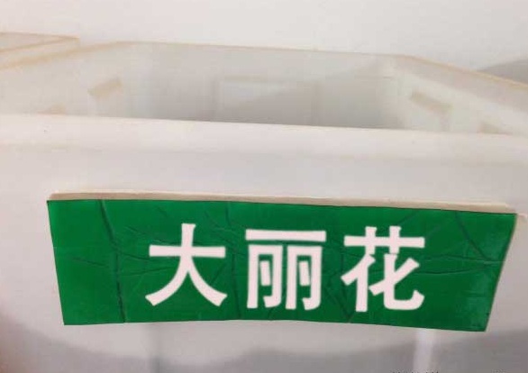 1630471323486357.jpg image.jpg