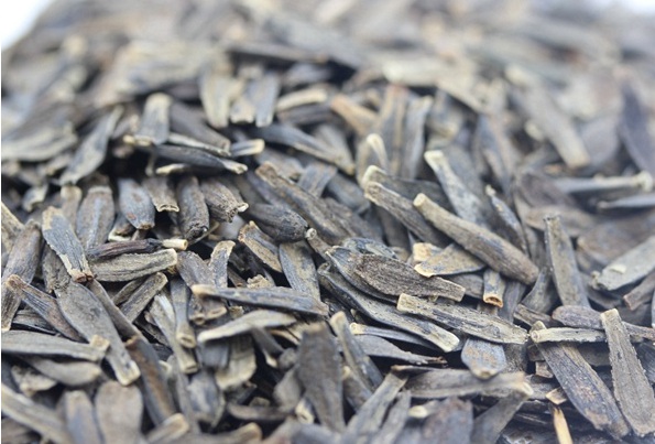 1630471345533773.jpg image.jpg