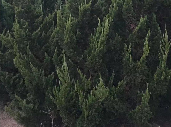 1630479996148496.jpg image.jpg