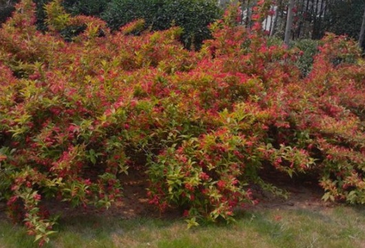 1630483647250011.jpg image.jpg