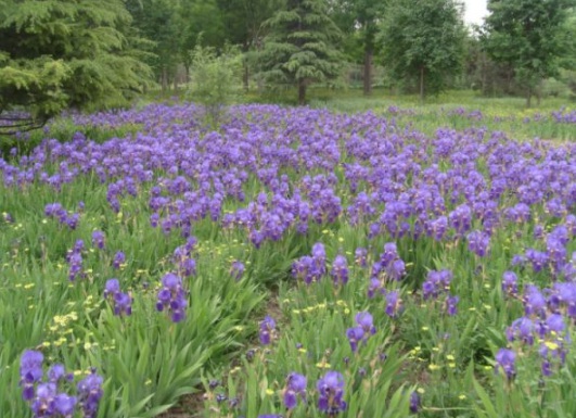 1630498538360770.jpg image.jpg