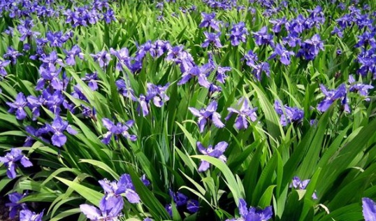 1630546847201950.jpg image.jpg